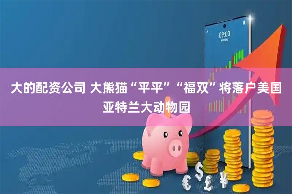 大的配资公司 大熊猫“平平”“福双”将落户美国亚特兰大动物园
